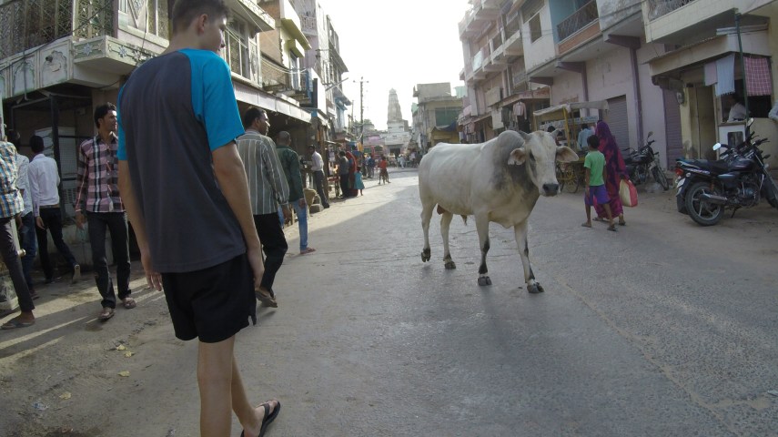 DCIM100GOPROG0021039.